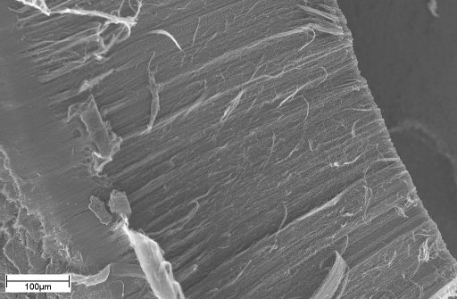 Well oriented carbon nanotubes
